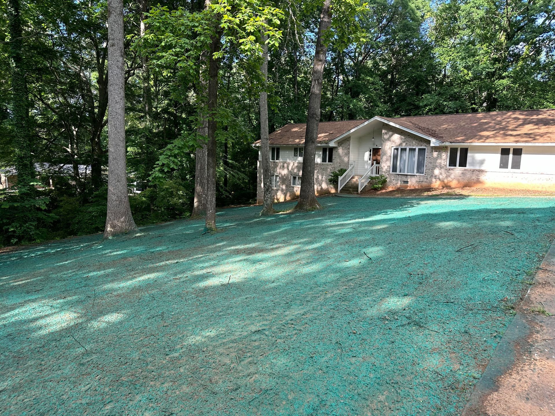 After Hydroseeding