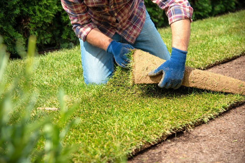 Guide to Sod Installation Guide to Sod Installation