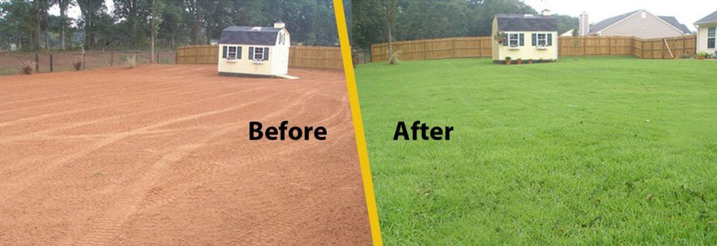 Before & After Hydroseeding by Elevate Land Management Before & After Hydroseeding by Elevate Land Management