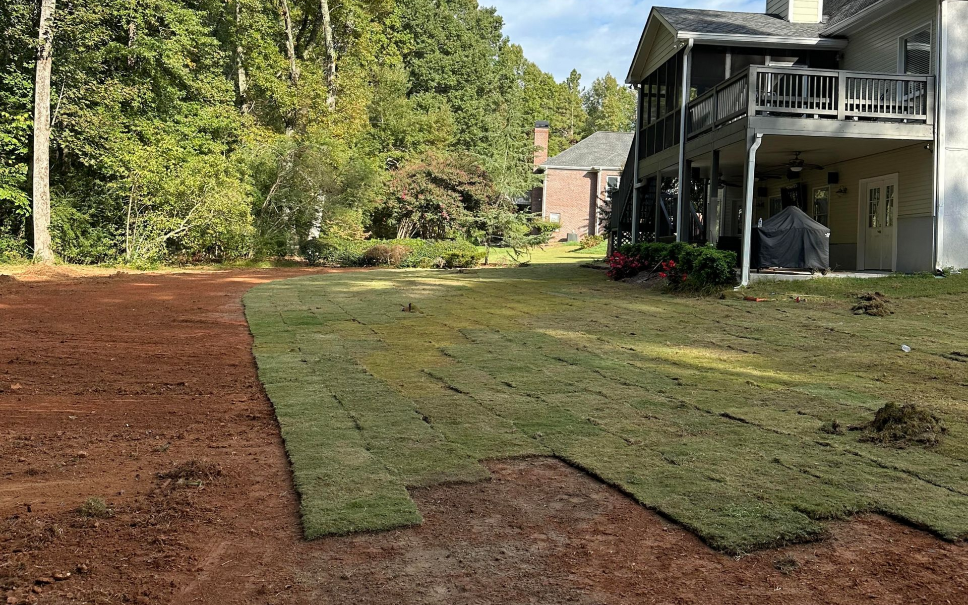 Reviving lawn with sod