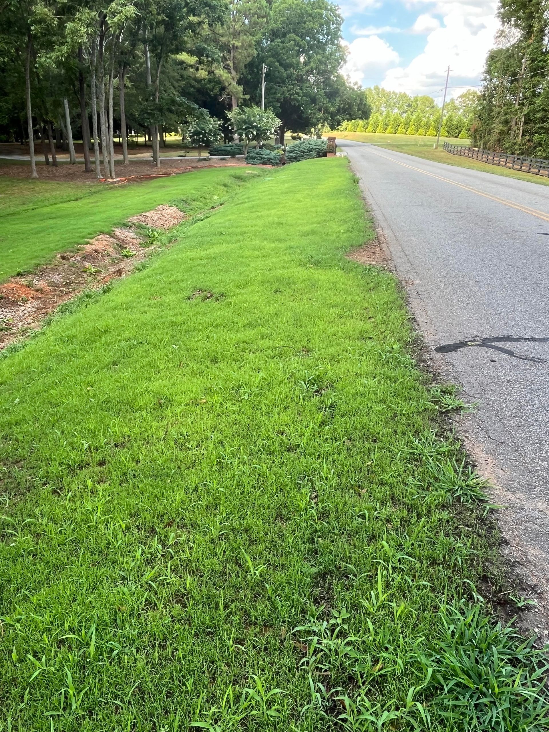 After Expert Hydroseeding