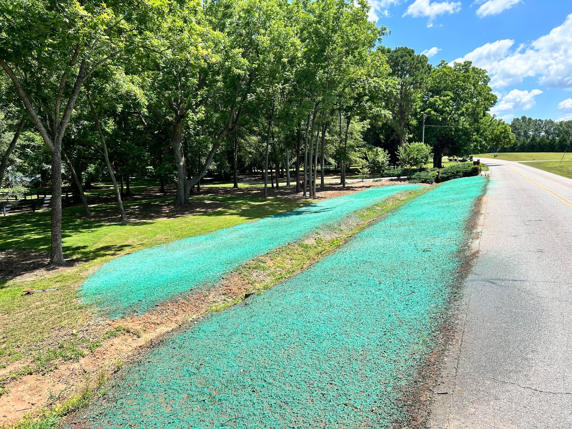 Before Expert Hydroseeding