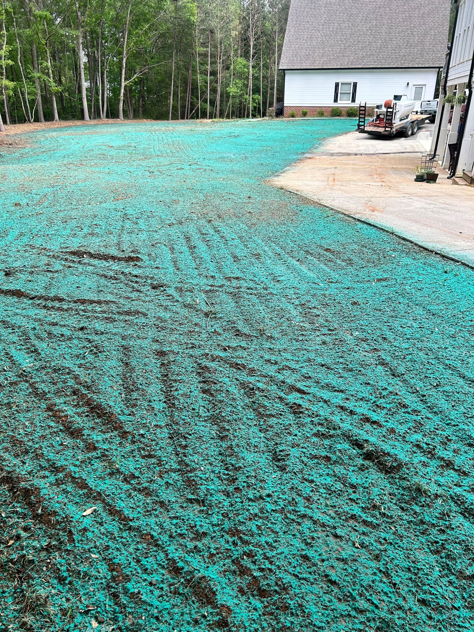 Hydroseeding - after