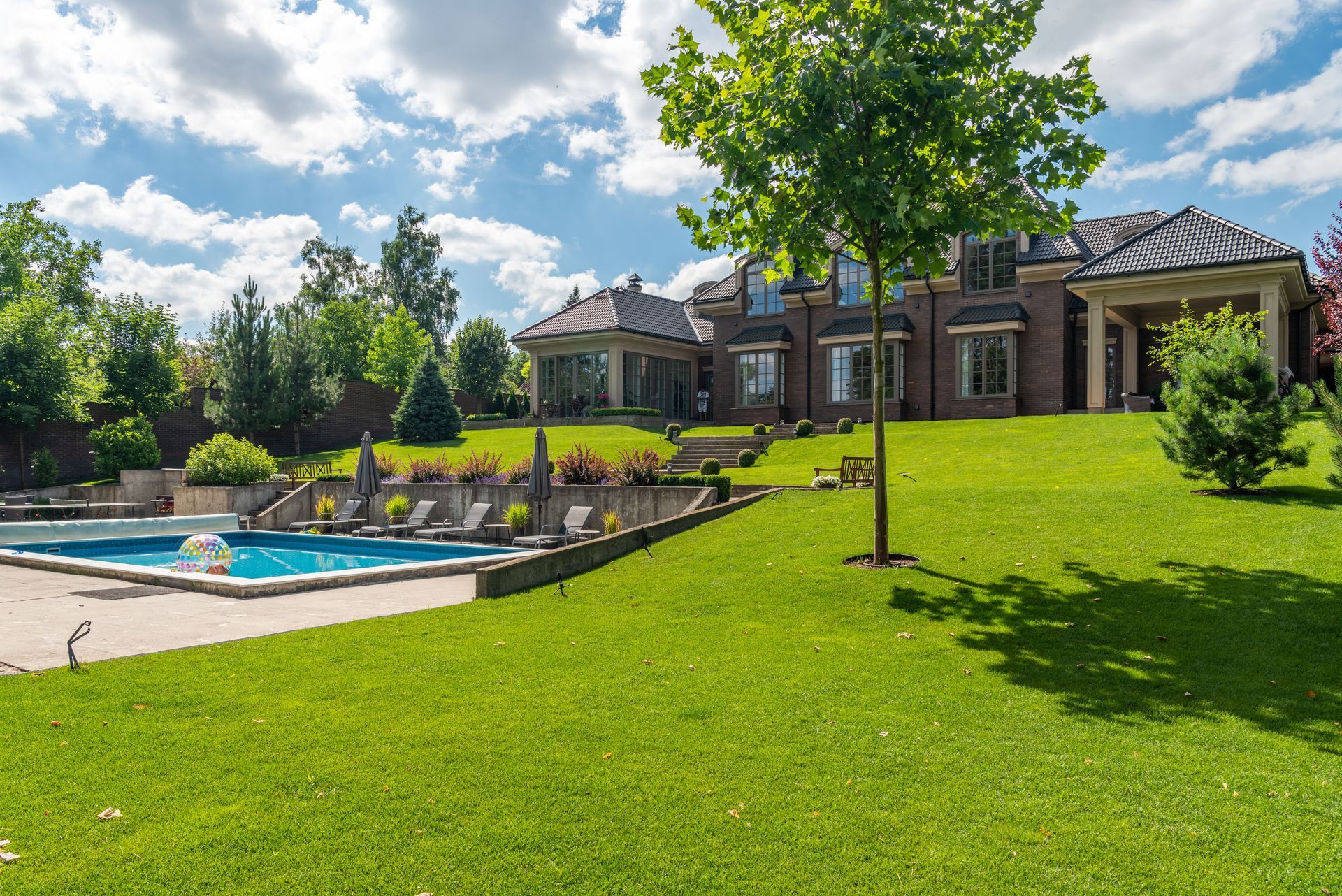 green lawn in backyard