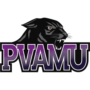 A black panther head growling above the purple-to-black gradient text 
