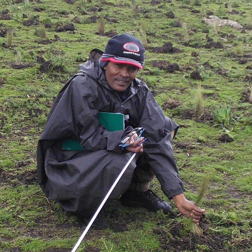 Misrak Seyoum