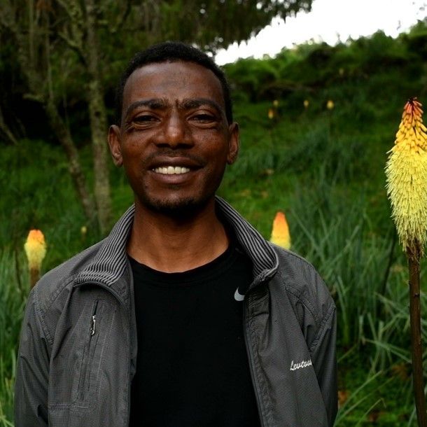 Muktar Abute