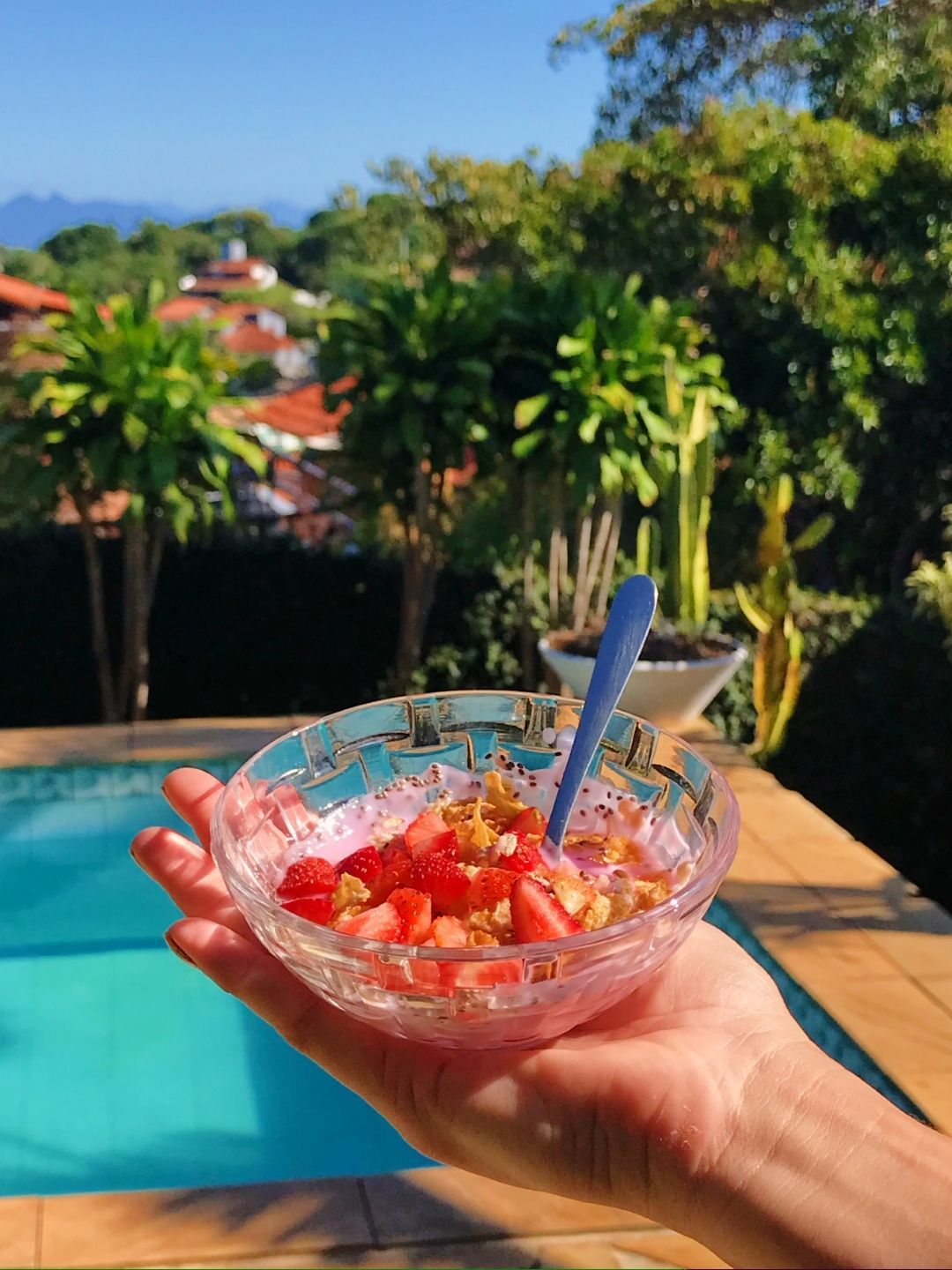 Mão segurando uma tigela de vidro com salada de frutas à beira de uma piscina com plantas tropicais ao fundo.