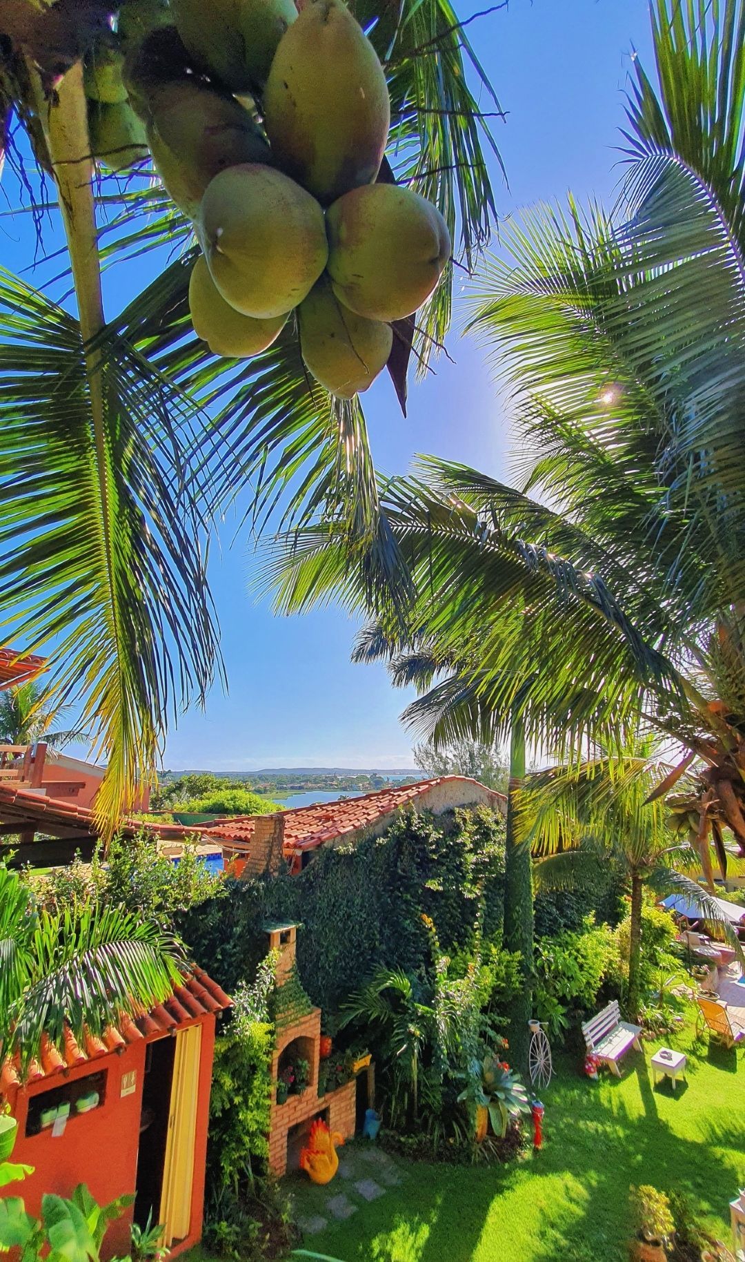 Pátio de um resort tropical com palmeiras, edifícios de telhados vermelhos e coqueiros com vista para o oceano.