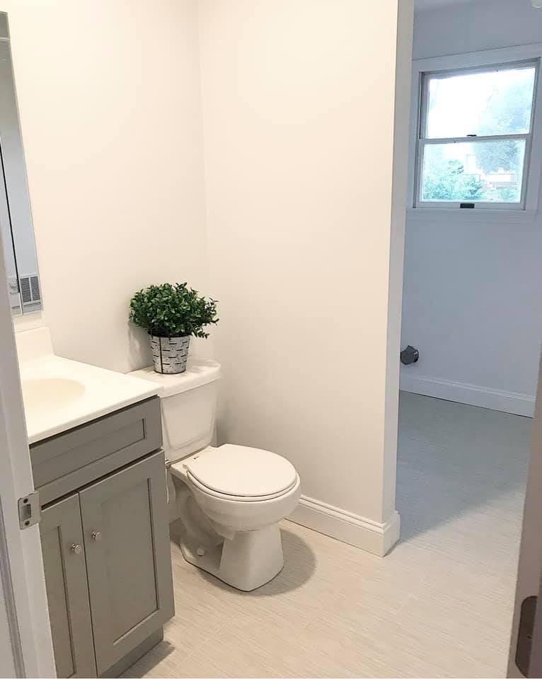 Small bathroom with a toilet, gray vanity, and a potted plant by an open doorway.