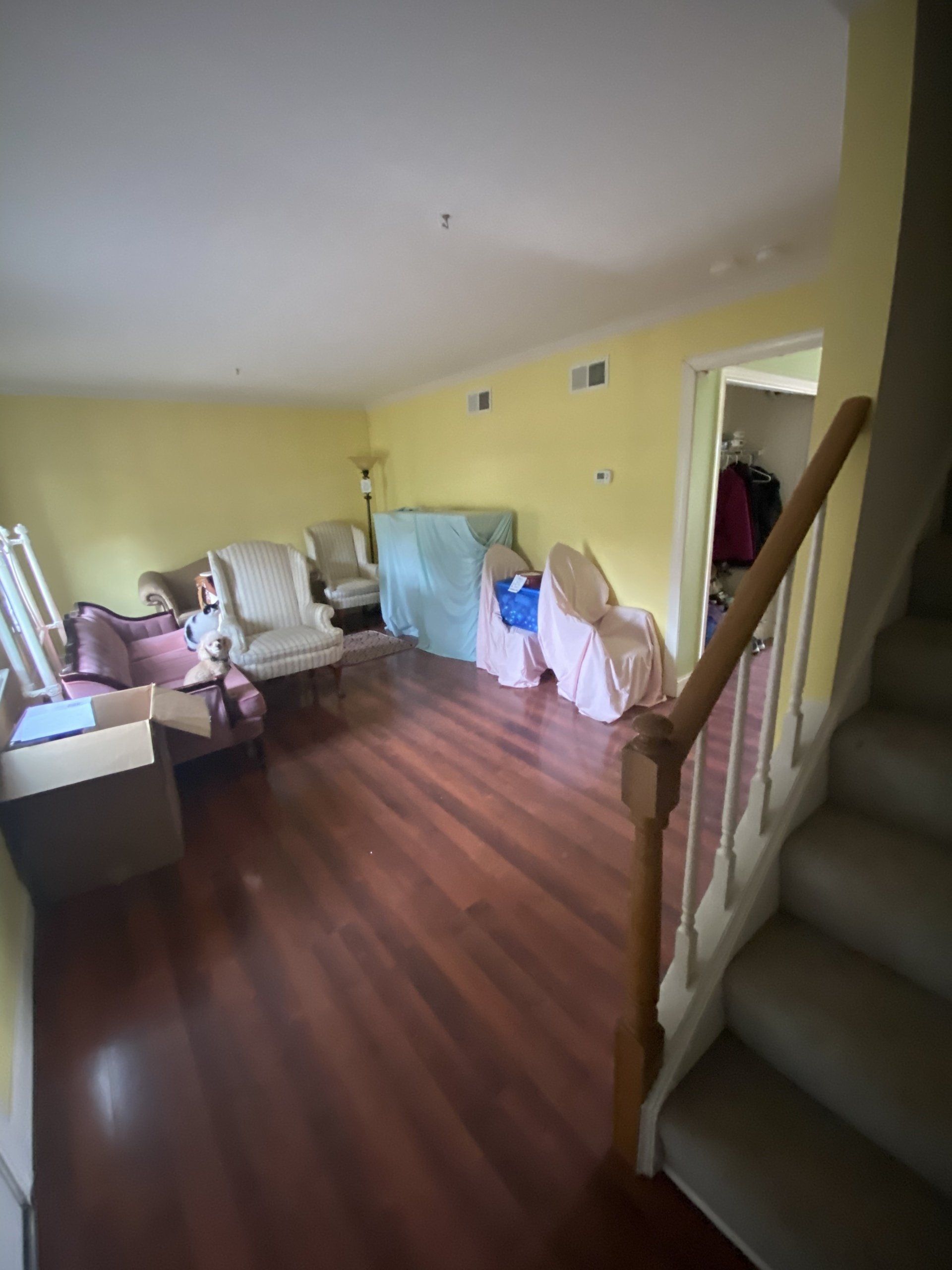 Bright living room with yellow walls, hardwood floor, sofa, chairs, covered furniture, and staircase in foreground
