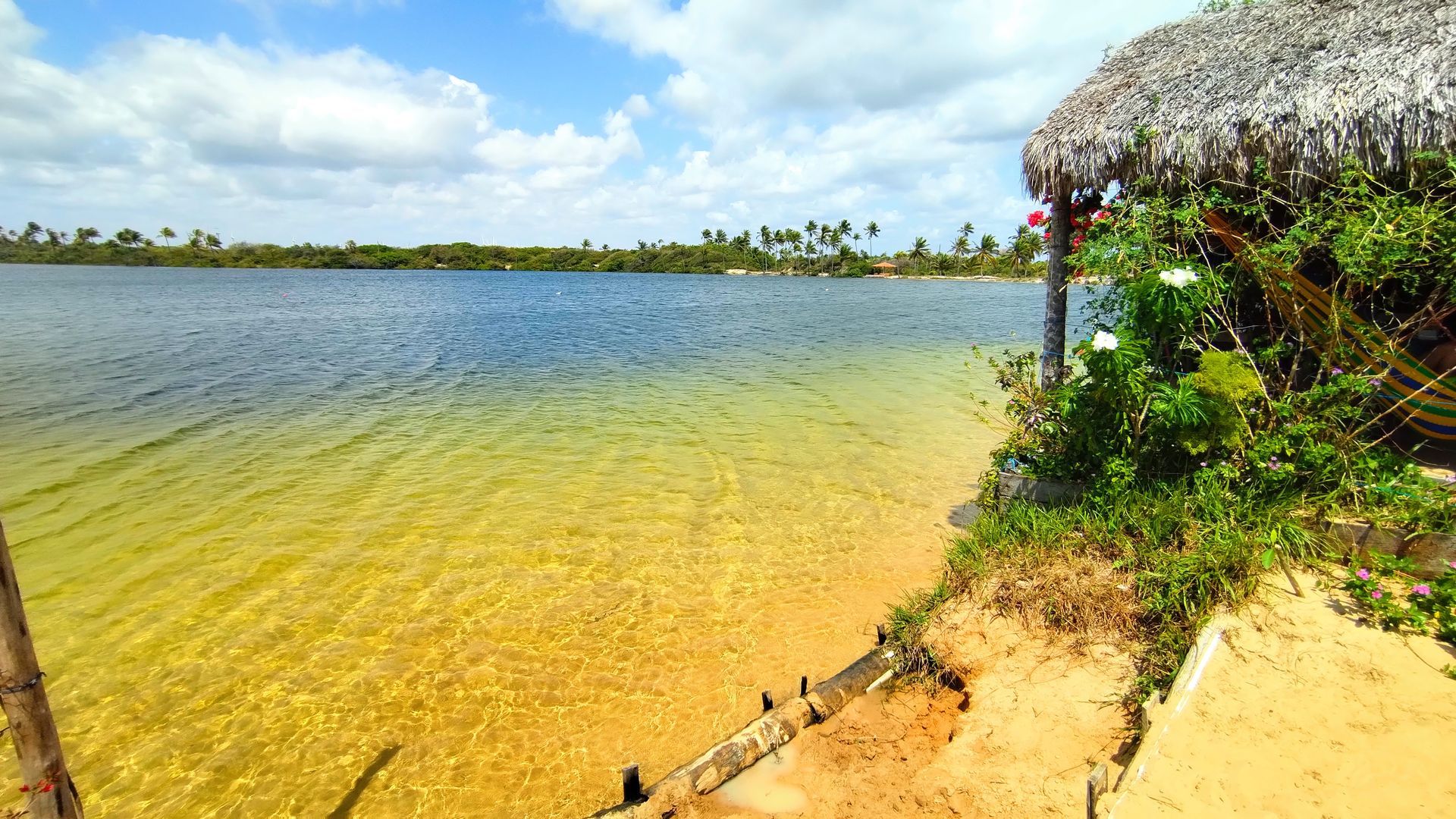 Uma lagoa tropical com água cristalina de tonalidade amarelada encontrando uma margem arenosa ao lado de uma estrutura com telhado de palha e vegetação verdejante.