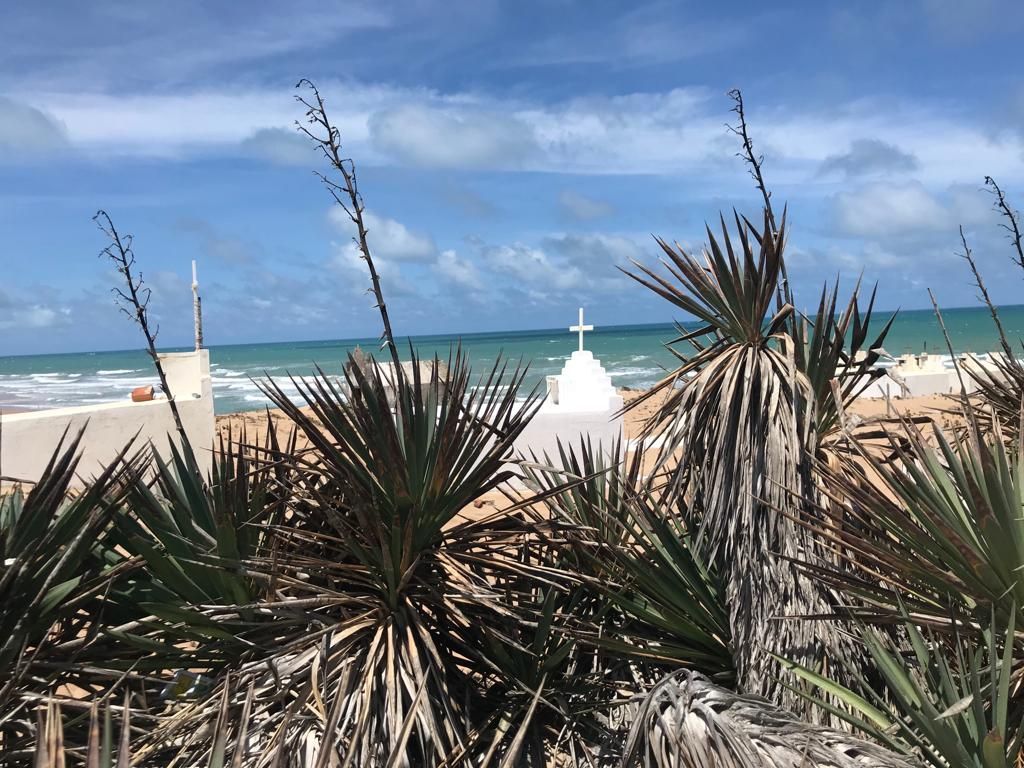 Uma cruz branca está posicionada sobre uma lápide em uma praia arenosa, emoldurada por plantas espinhosas do deserto contra um mar e céu azuis.