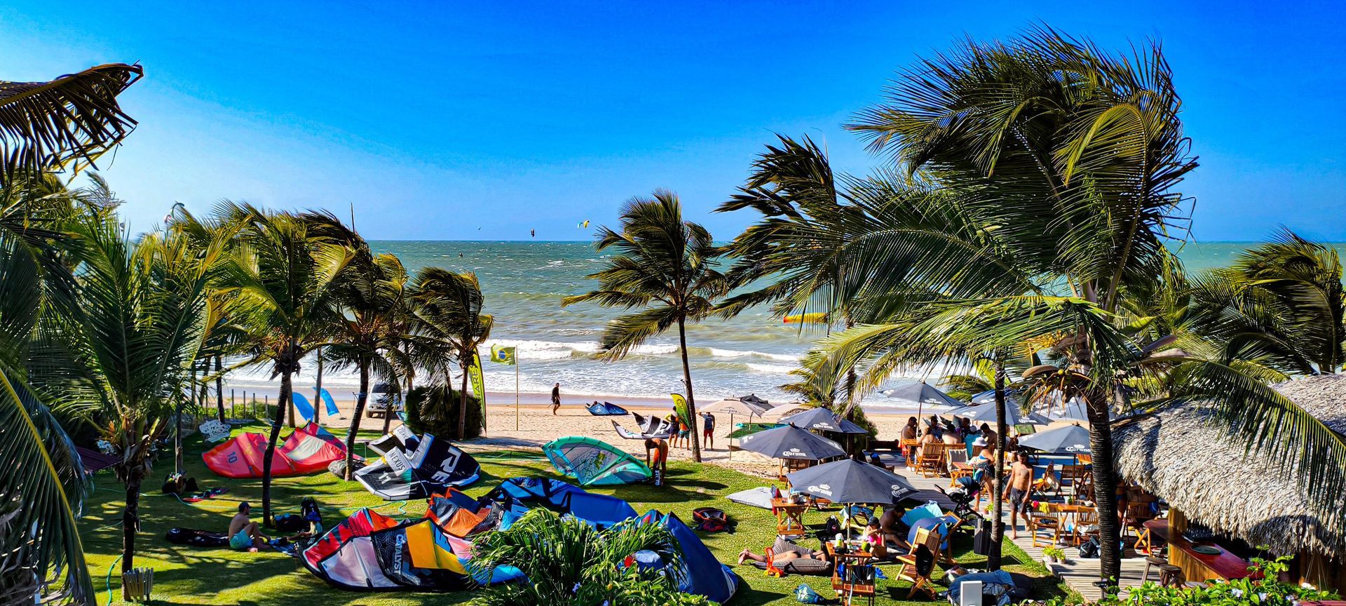 Praia tropical com palmeiras, espreguiçadeiras coloridas e pessoas relaxando à beira-mar.