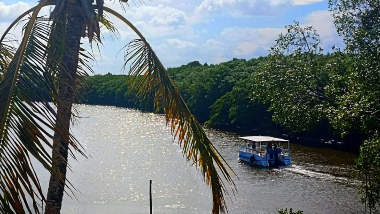 Passear em grupo no rio com catamarã