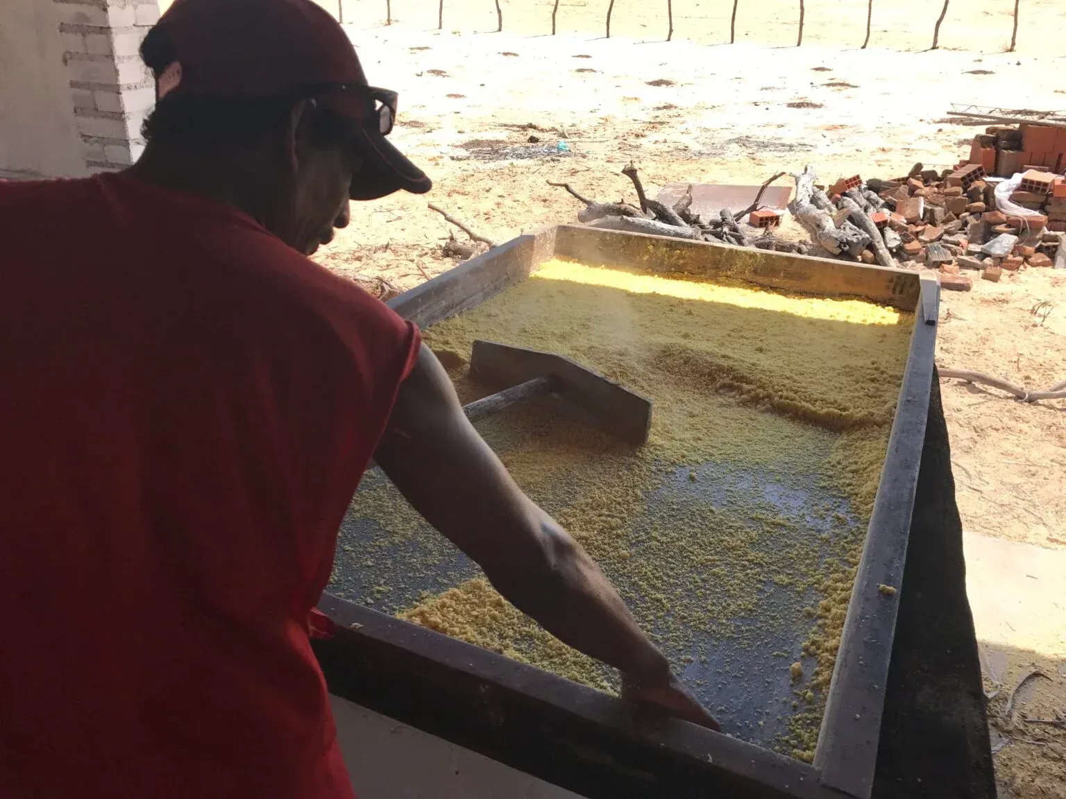 Uma pessoa vestindo uma camisa vermelha usa um ancinho para espalhar grãos amarelos sobre uma grande superfície retangular e plana que está sendo seca.