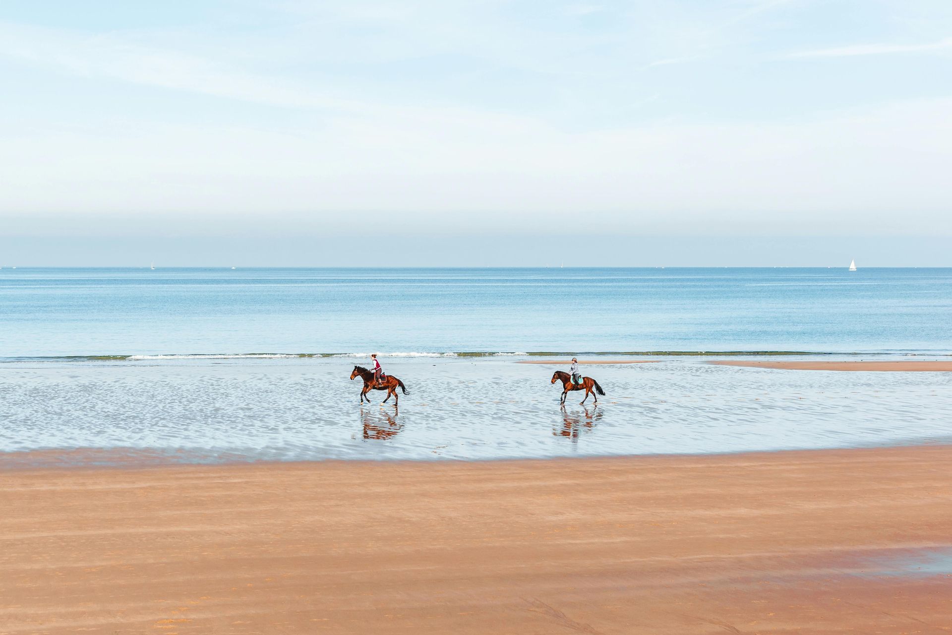 Passeios a cavalo