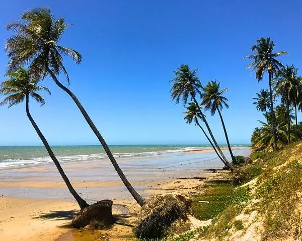 Relaxe na Praia do Jiqui