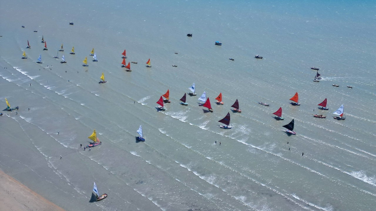 Curta a tradição da regata de Moitas em Julho