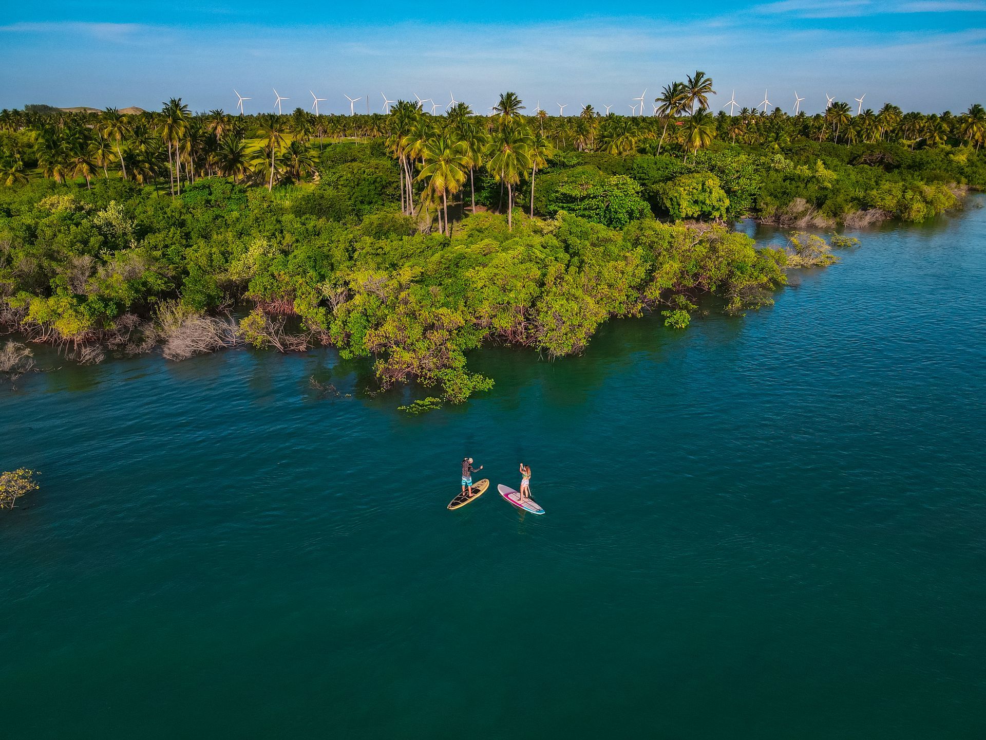 Duas pessoas em pranchas de stand-up paddle em uma baía calma e azul, em frente a uma costa verdejante com palmeiras e turbinas eólicas.