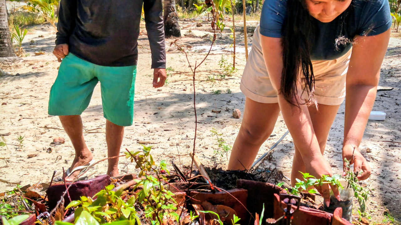 Conhecer o modo de vida sustentável guiado por locais