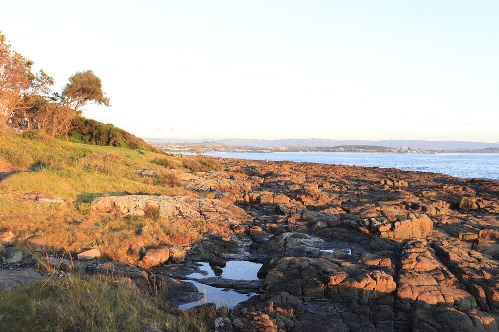 A Rocky Shoreline With A Body Of Water In The Background — Bennett's Environmental In Shellharbour, NSW