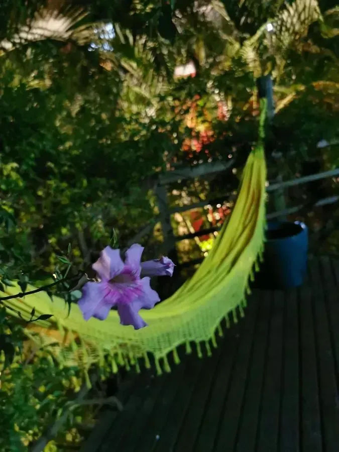 Rede amarela com almofada de flor roxa em um deck de madeira escura em um jardim arborizado.