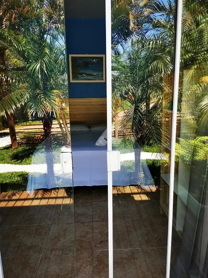 Passarela moderna emoldurada por vidro, com palmeiras e uma parede azul como destaque além do pátio.