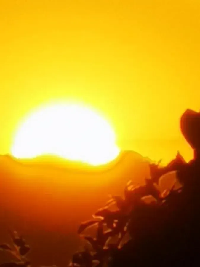 Um pôr do sol alaranjado brilhante sobre uma crista de montanha escura, com folhas silhuetadas em primeiro plano.