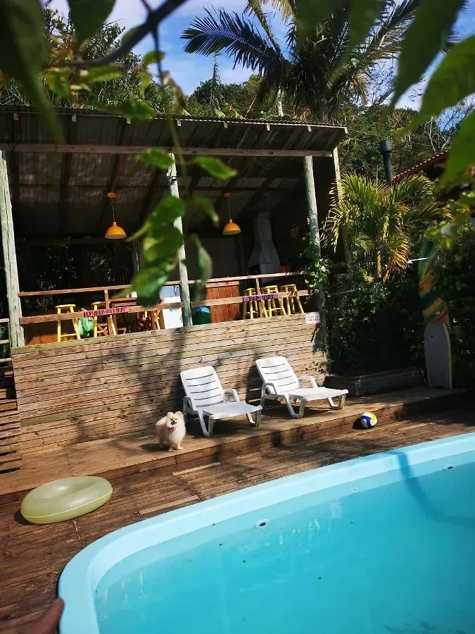 Piscina no quintal com espreguiçadeiras, pátio de pedra e um deck tropical em estilo tiki ao fundo.