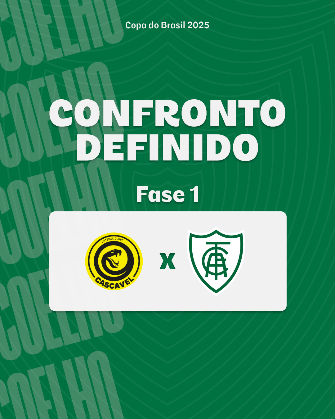 Am&eacute;rica enfrentar&aacute; o Cascavel pela Copa do Brasil