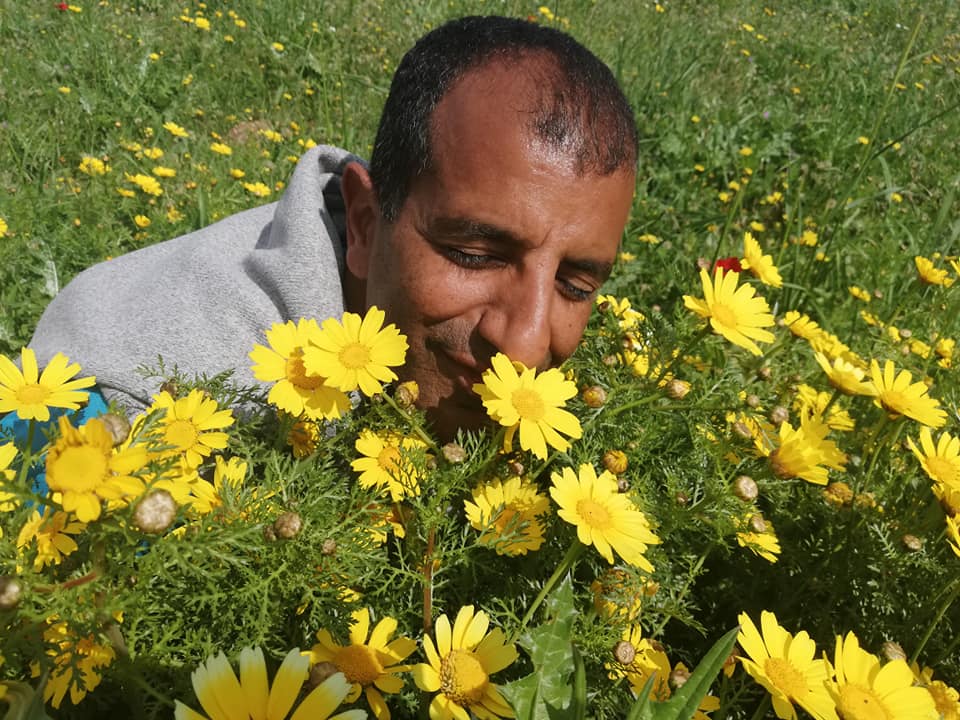 אדם מריח חינניות צהובות בשדה