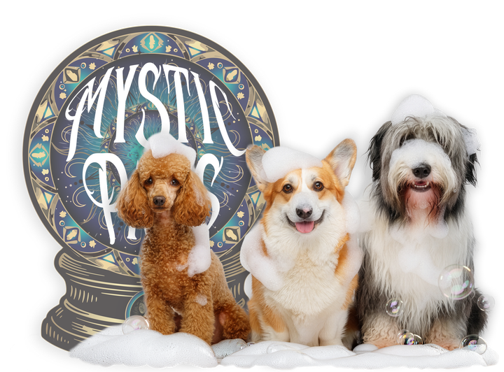 Three dogs with soap bubbles on their fur: brown poodle, corgi, and shaggy black-and-white dog