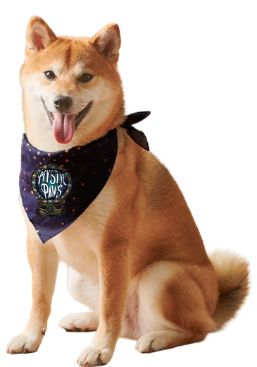 Shiba Inu wearing a Mystic Paws bandana, sitting and panting against a clear background