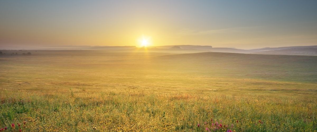 Golden sunrise over an open field representing hope and alternatives to bankruptcy with Pacific Debt Relief