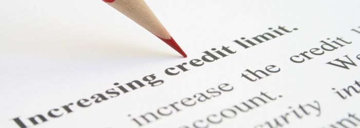 What do you do when you max out your credit card?
