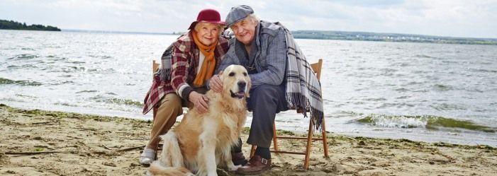 Comfortable Retirement?