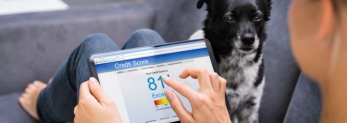 Credit Score and Credit Worthiness Meaning