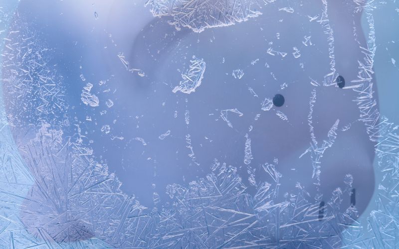 Frozen Bank Account Nightmare? Learn How to Unfreeze it!