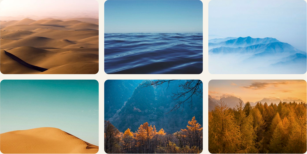 Six landscape photos: desert, ocean, mountains, sand dune, mountains with trees, forest.