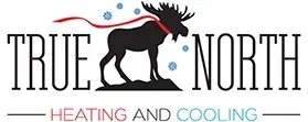 True North Logo