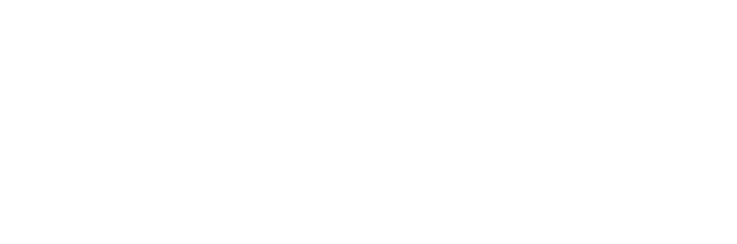 Company Logo - Footer