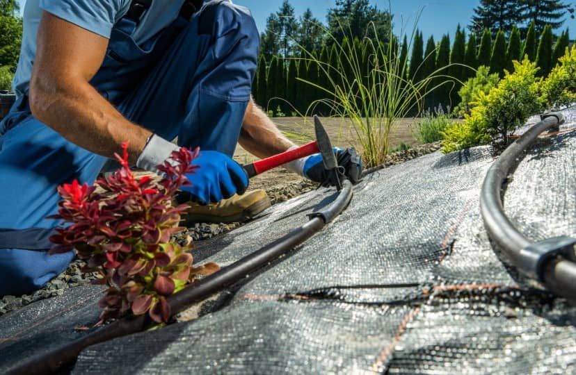 Elysian Landscape & Irrigation Premier Landscaping Service