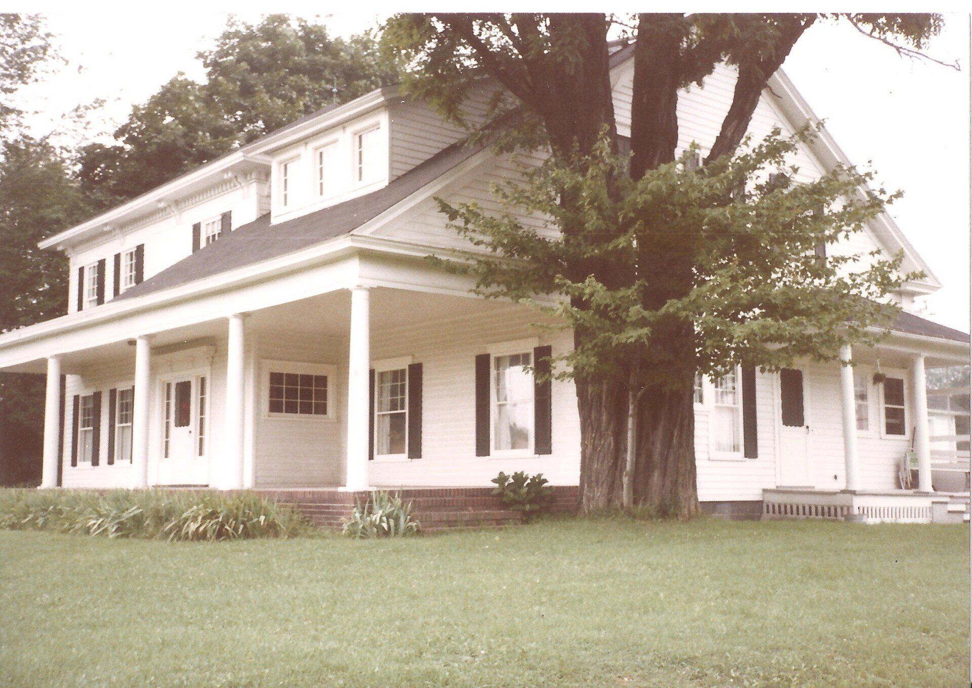 Great tree inn home