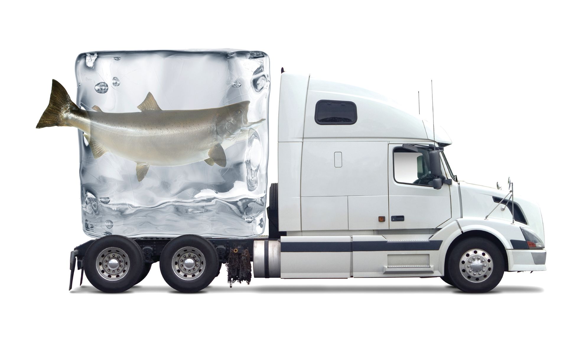 LTL refrigerated logistics seattle to west coast