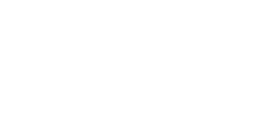 Apex Management logo in white