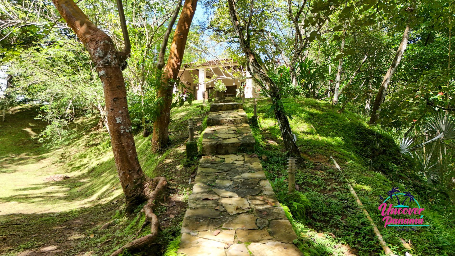 Un chemin de pierre traverse un jardin verdoyant et mène à un petit bâtiment sous les arbres