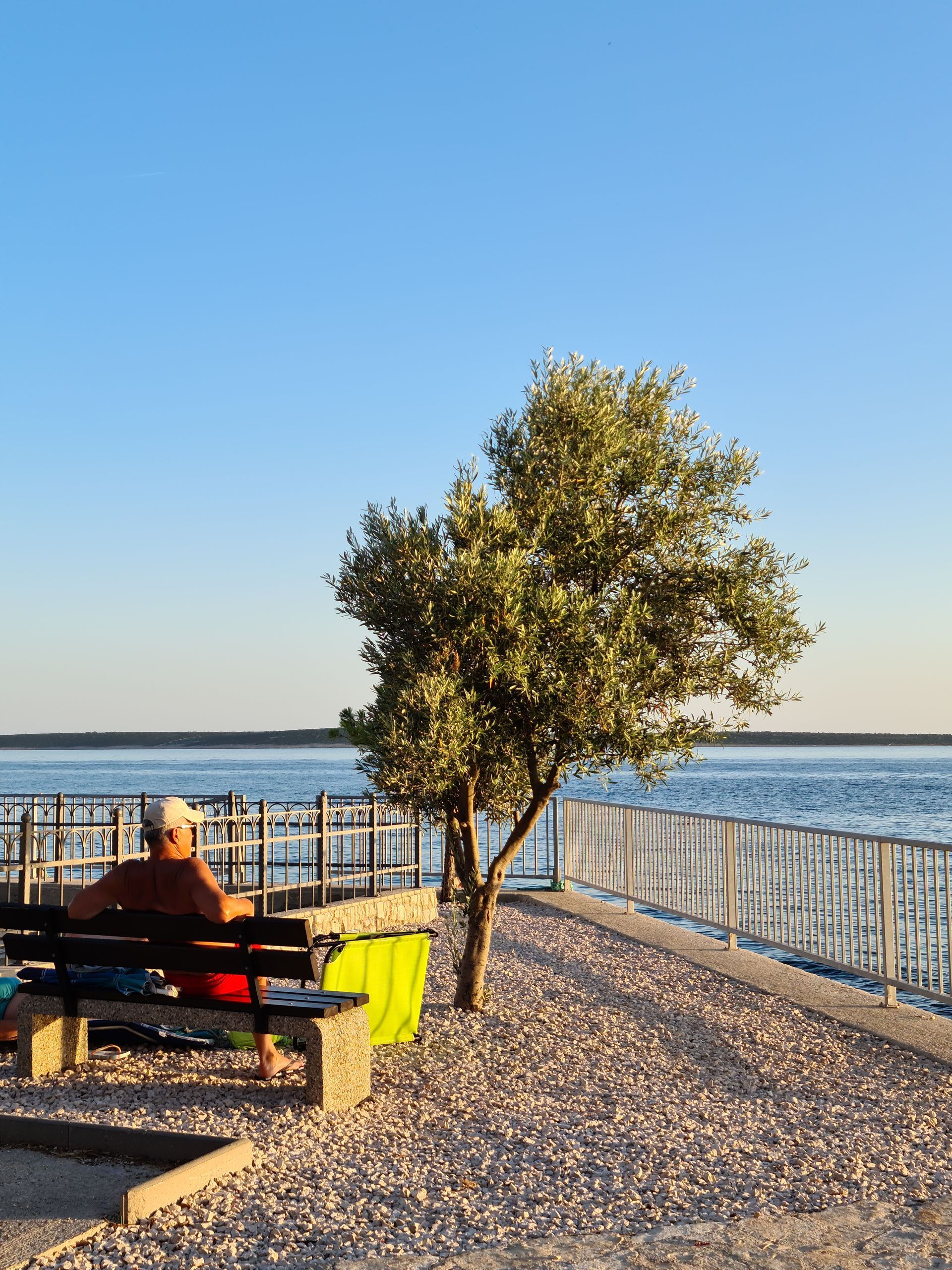 Person seated on a bench by a waterfront fence, with a tree and clear blue sky at sunset.