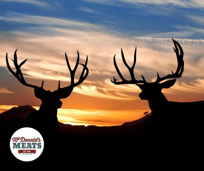 Deer Hunting, Meat Processing