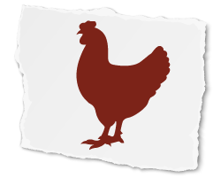 Chicken Icon